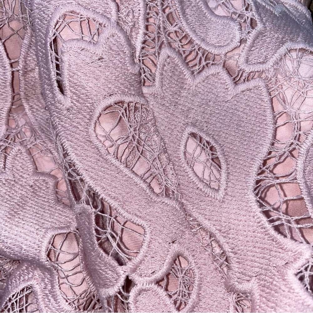 NWT Bardot Lina Lace Dress Pink Rose - Picture 15 of 16